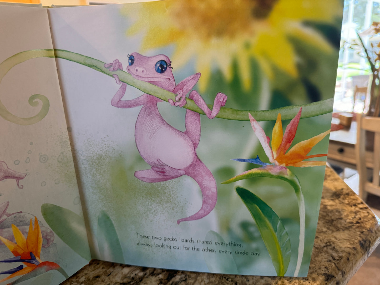 Hard Cover Childrens Book 'Grandma Brooks meet Harry and Sally, "Sharing is Caring"'